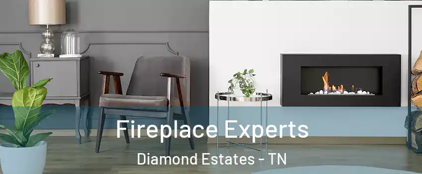 Fireplace Experts Diamond Estates - TN