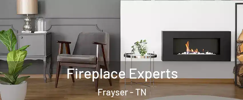 Fireplace Experts Frayser - TN