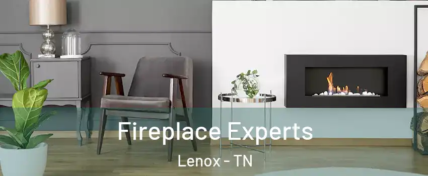 Fireplace Experts Lenox - TN