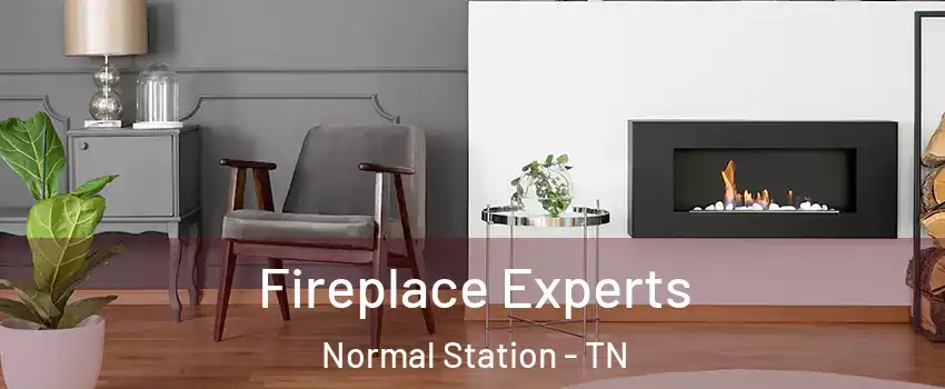 Fireplace Experts Normal Station - TN