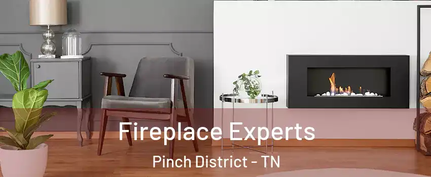 Fireplace Experts Pinch District - TN