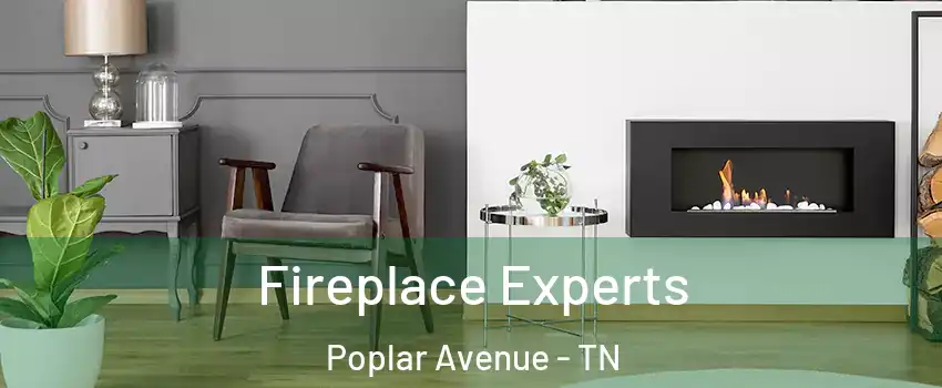 Fireplace Experts Poplar Avenue - TN