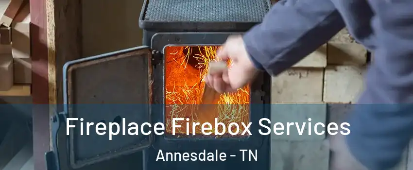 Fireplace Firebox Services Annesdale - TN