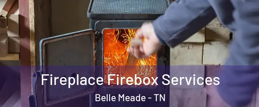 Fireplace Firebox Services Belle Meade - TN