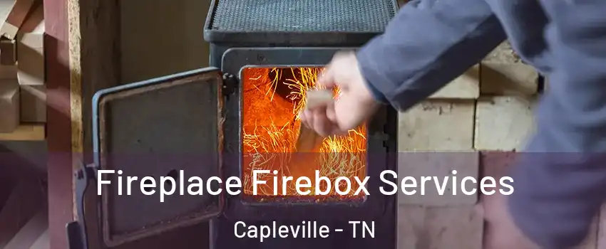 Fireplace Firebox Services Capleville - TN