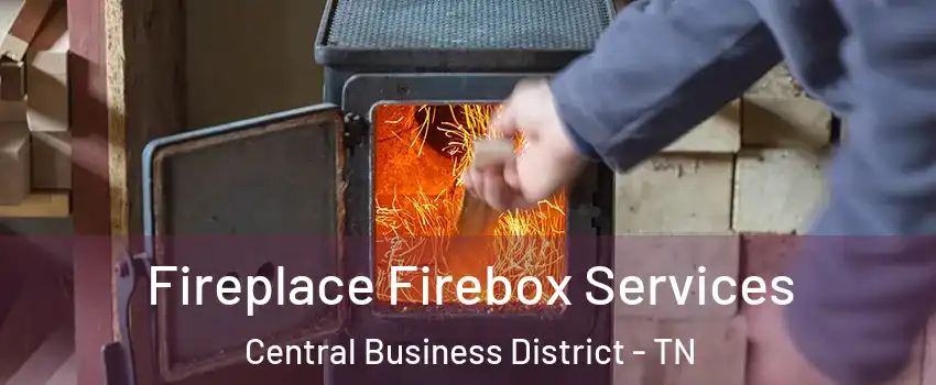 Fireplace Firebox Services Central Business District - TN