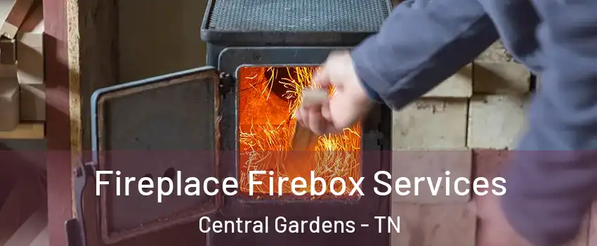 Fireplace Firebox Services Central Gardens - TN