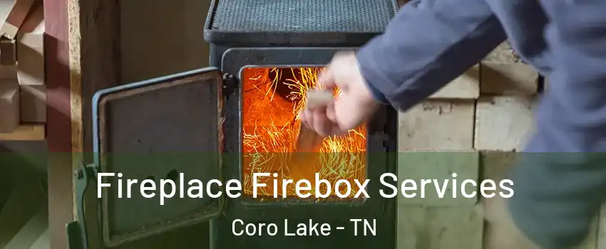 Fireplace Firebox Services Coro Lake - TN