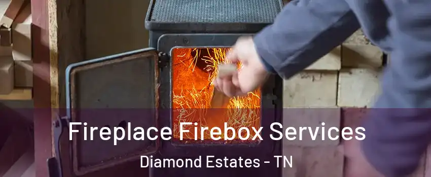 Fireplace Firebox Services Diamond Estates - TN