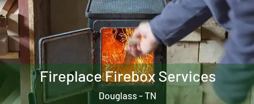 Fireplace Firebox Services Douglass - TN