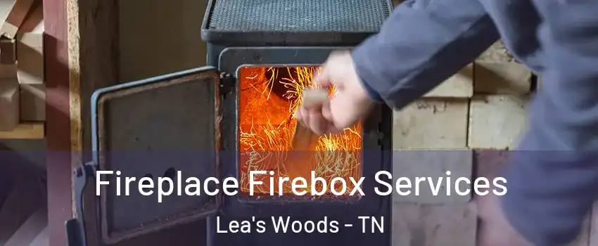 Fireplace Firebox Services Lea's Woods - TN