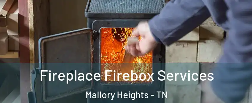 Fireplace Firebox Services Mallory Heights - TN