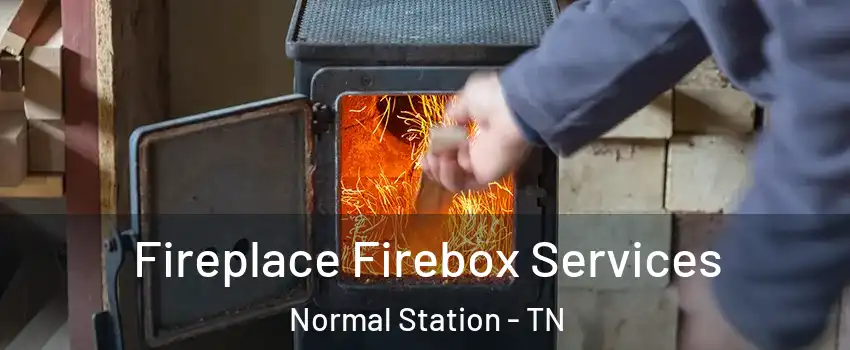 Fireplace Firebox Services Normal Station - TN