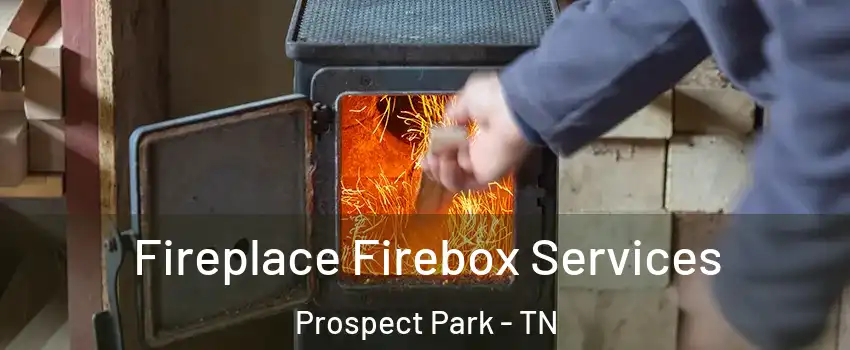 Fireplace Firebox Services Prospect Park - TN