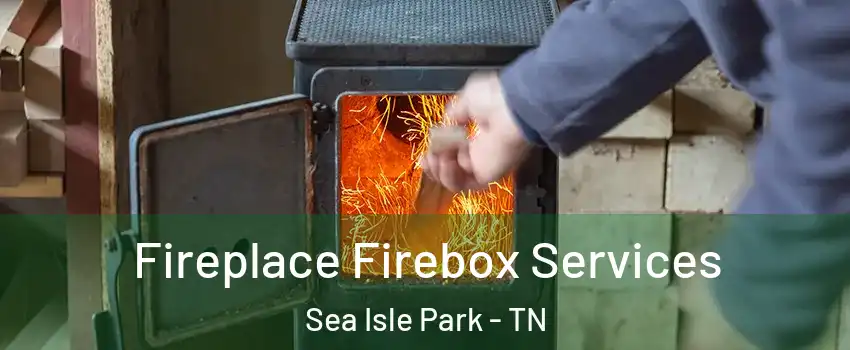 Fireplace Firebox Services Sea Isle Park - TN