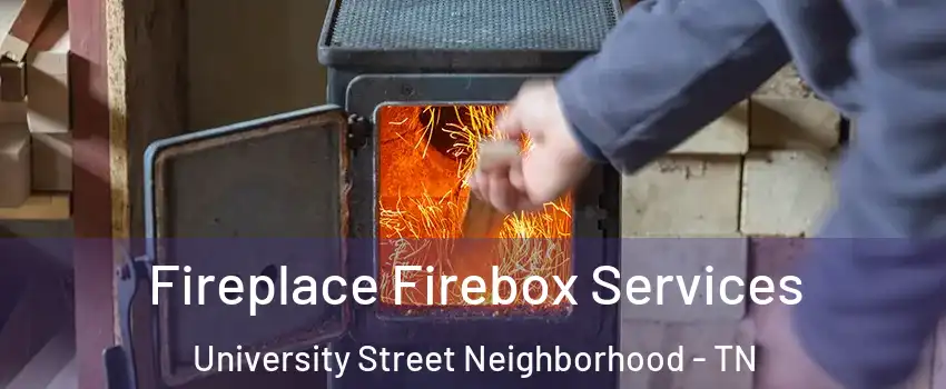 Fireplace Firebox Services University Street Neighborhood - TN