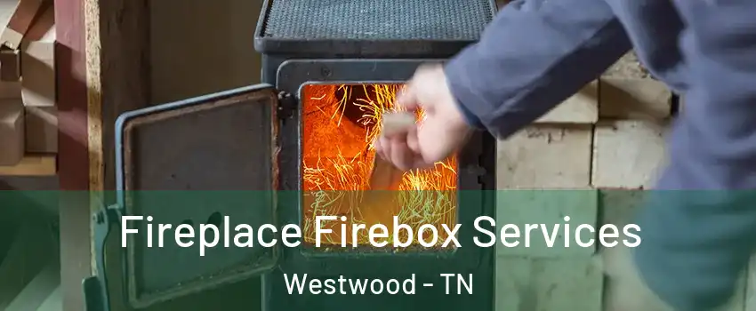 Fireplace Firebox Services Westwood - TN