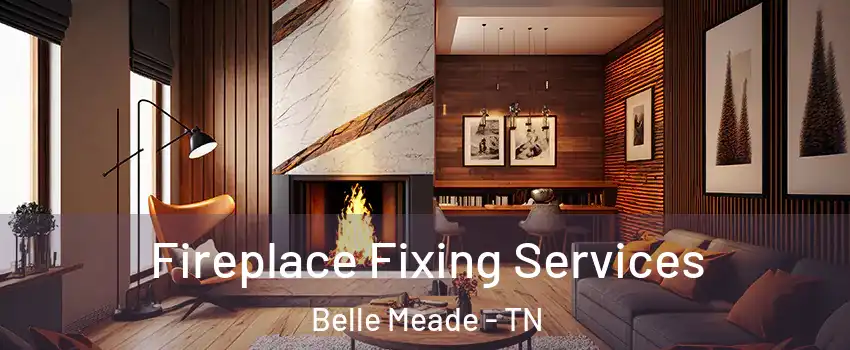 Fireplace Fixing Services Belle Meade - TN