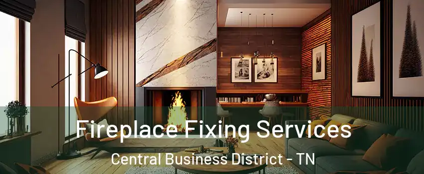 Fireplace Fixing Services Central Business District - TN