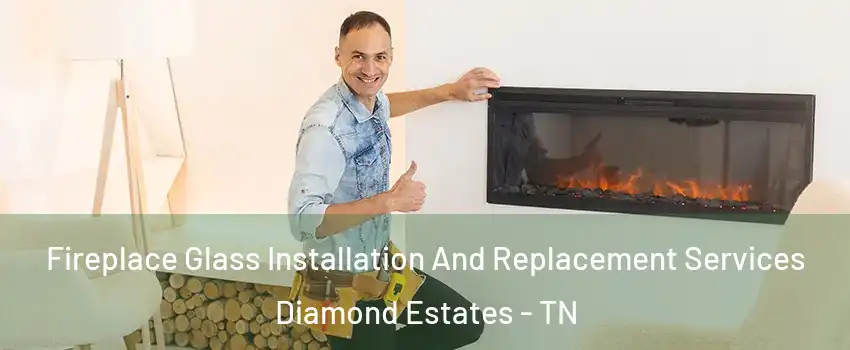 Fireplace Glass Installation And Replacement Services Diamond Estates - TN