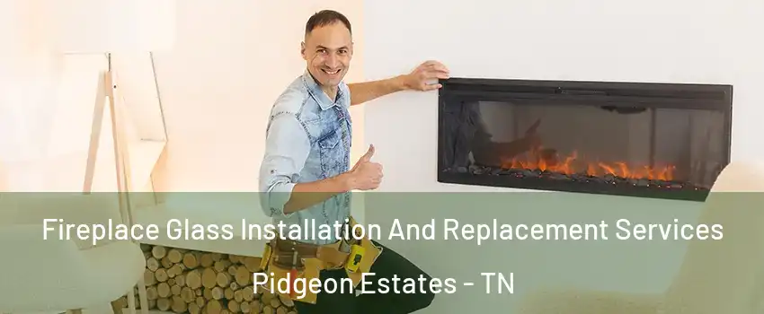 Fireplace Glass Installation And Replacement Services Pidgeon Estates - TN