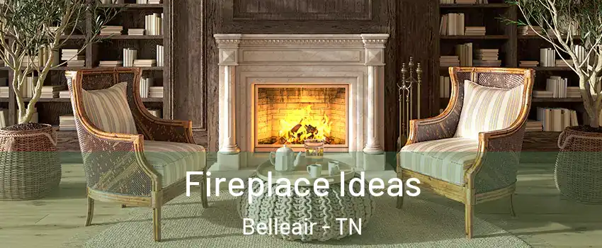 Fireplace Ideas Belleair - TN