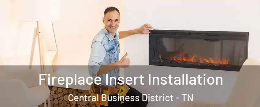 Fireplace Insert Installation Central Business District - TN