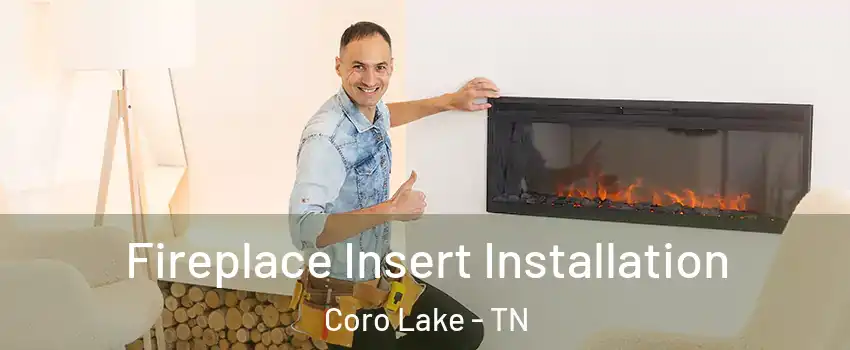 Fireplace Insert Installation Coro Lake - TN