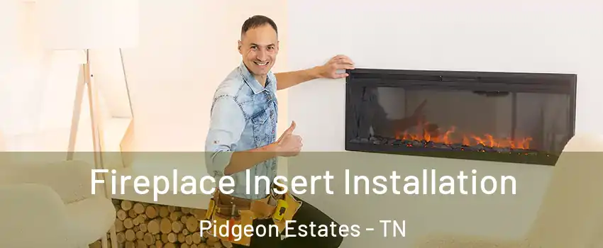 Fireplace Insert Installation Pidgeon Estates - TN