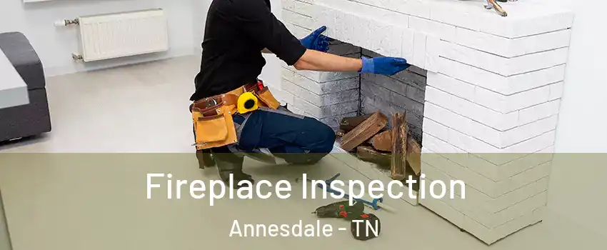 Fireplace Inspection Annesdale - TN