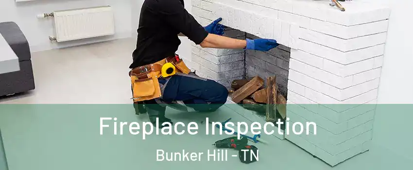 Fireplace Inspection Bunker Hill - TN