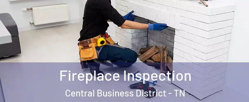 Fireplace Inspection Central Business District - TN