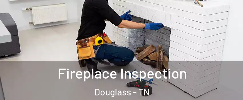 Fireplace Inspection Douglass - TN