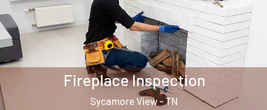 Fireplace Inspection Sycamore View - TN