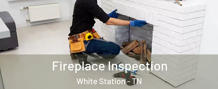 Fireplace Inspection White Station - TN