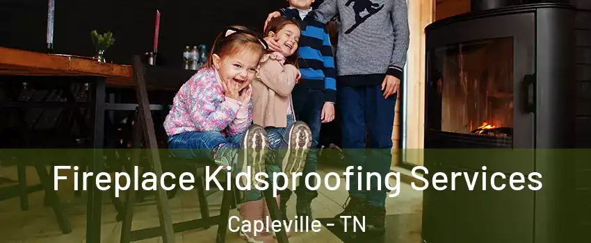 Fireplace Kidsproofing Services Capleville - TN