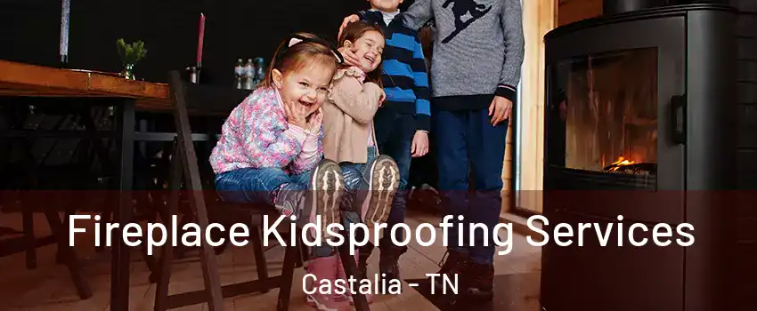 Fireplace Kidsproofing Services Castalia - TN