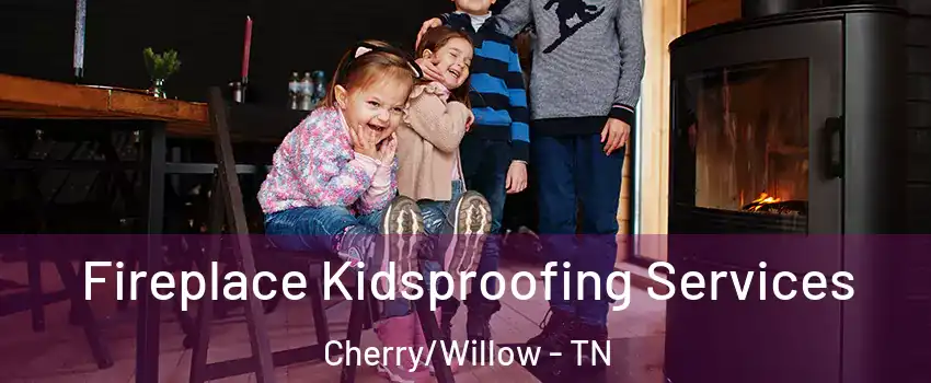 Fireplace Kidsproofing Services Cherry/Willow - TN