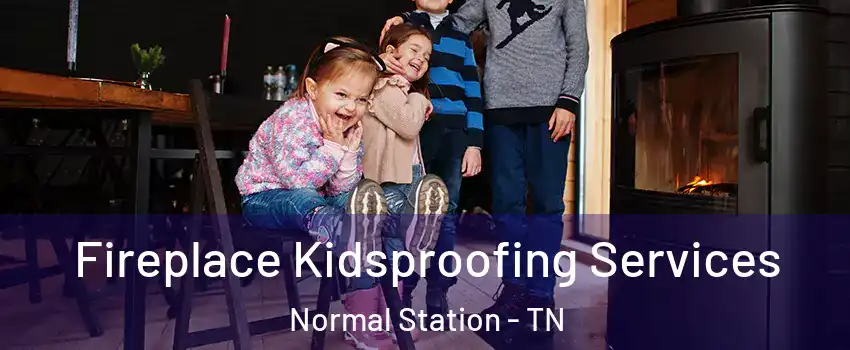 Fireplace Kidsproofing Services Normal Station - TN