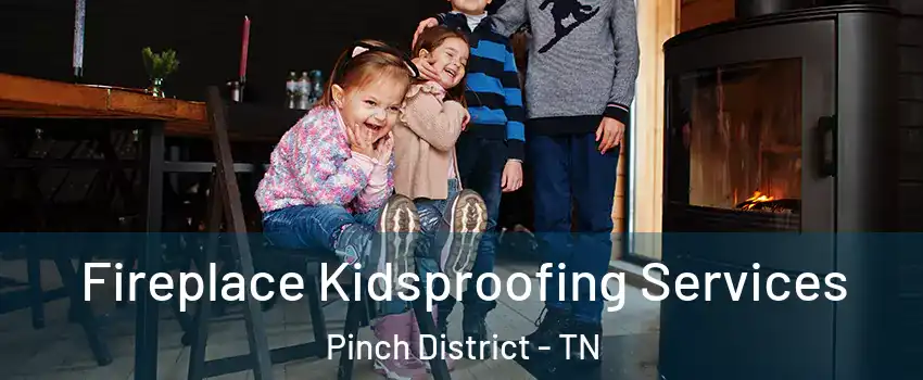 Fireplace Kidsproofing Services Pinch District - TN