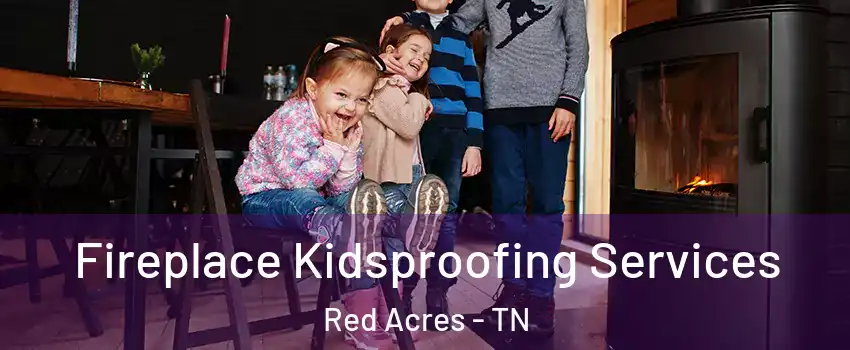 Fireplace Kidsproofing Services Red Acres - TN