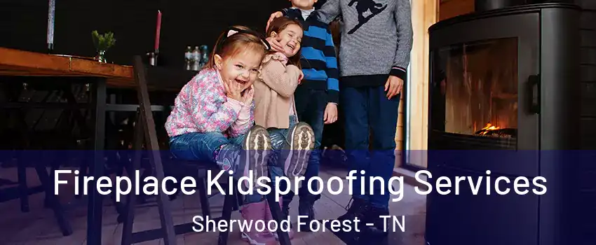 Fireplace Kidsproofing Services Sherwood Forest - TN