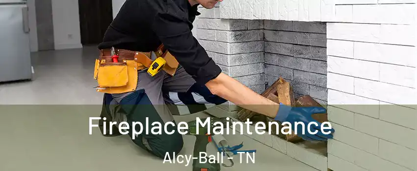 Fireplace Maintenance Alcy-Ball - TN