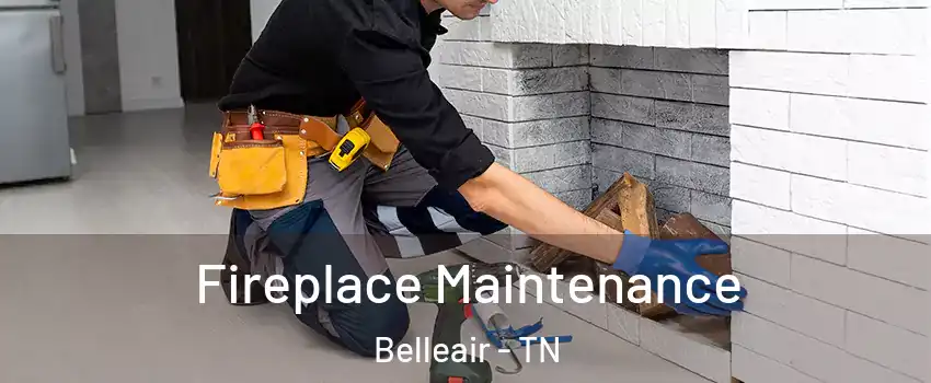 Fireplace Maintenance Belleair - TN