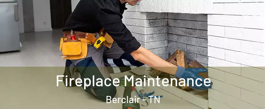 Fireplace Maintenance Berclair - TN