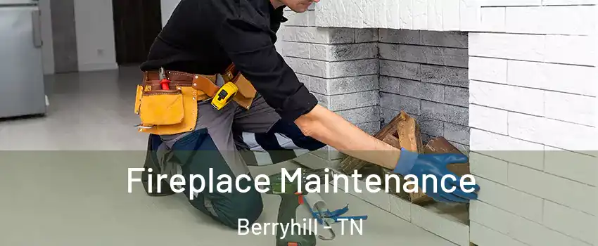 Fireplace Maintenance Berryhill - TN