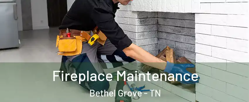 Fireplace Maintenance Bethel Grove - TN