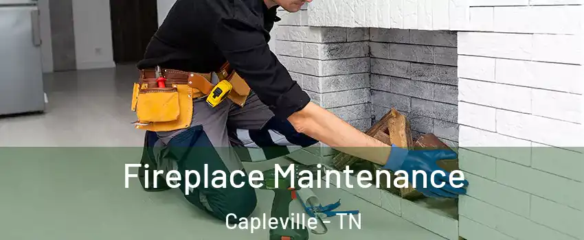 Fireplace Maintenance Capleville - TN