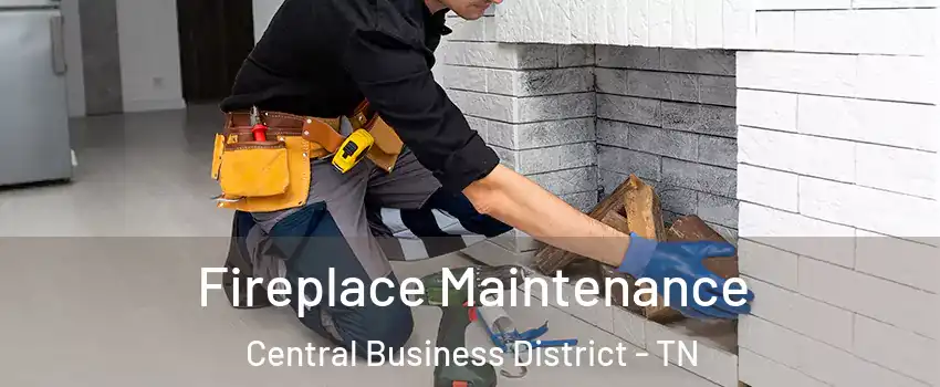 Fireplace Maintenance Central Business District - TN