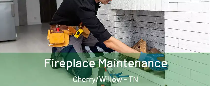 Fireplace Maintenance Cherry/Willow - TN